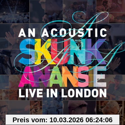 An Acoustic Skunk Anansie-Live In London