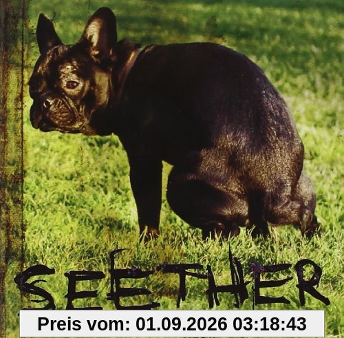 Seether 2002-2013