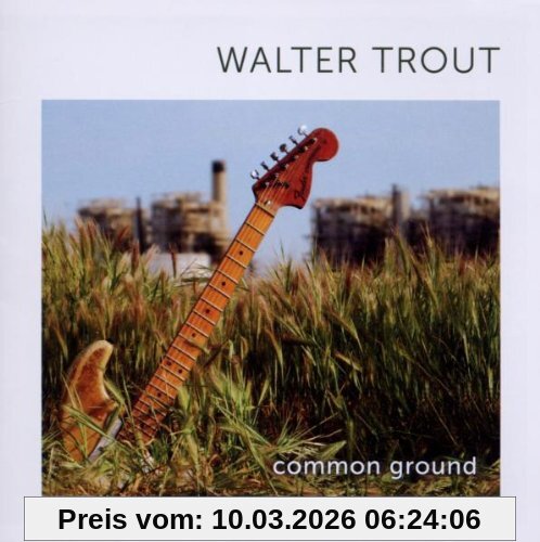 Walter Trout Common Ground