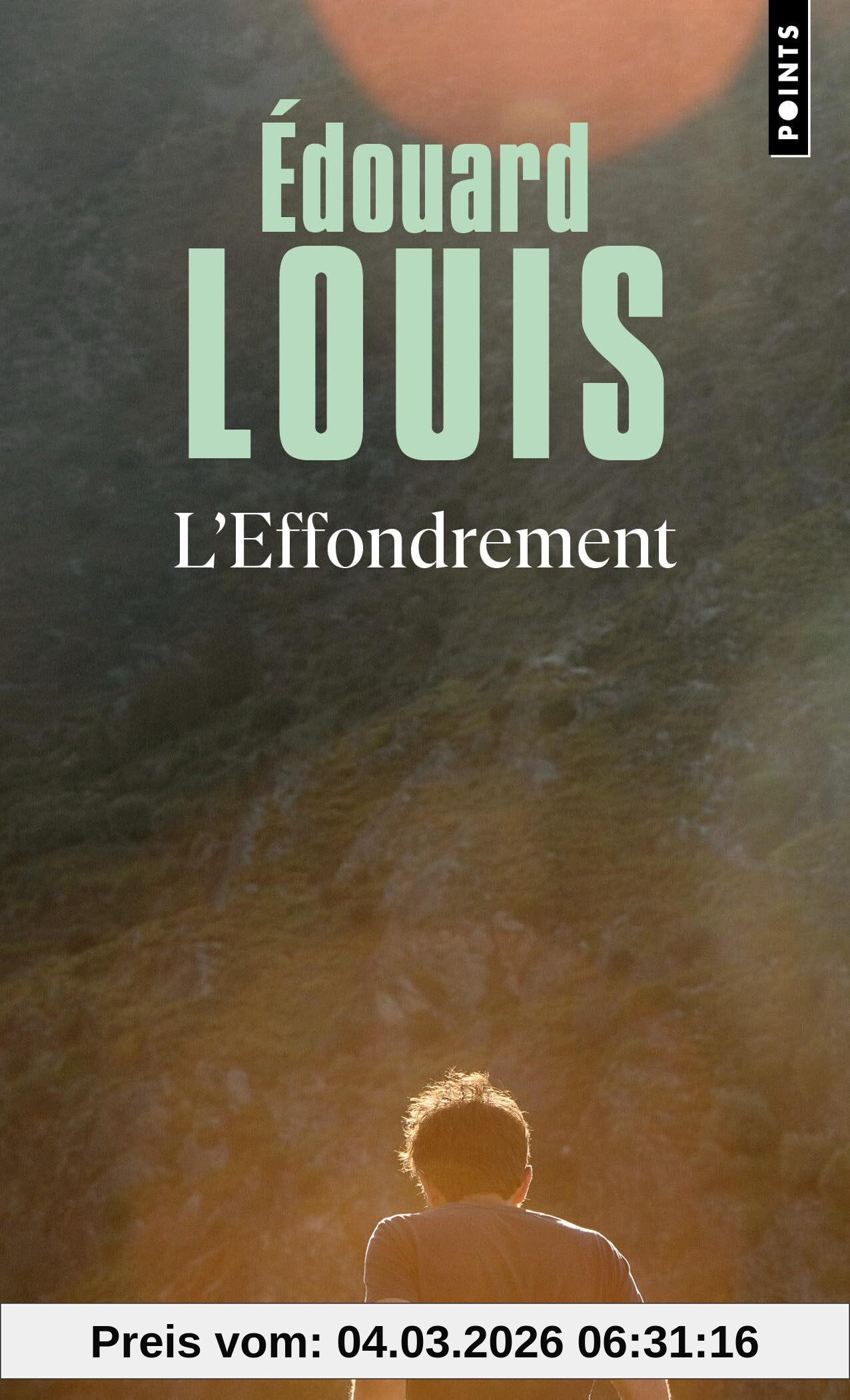 Édouard Louis L'effondrement