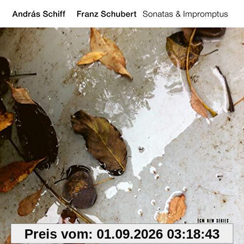 Franz Schubert: Sonatas & Impromptus