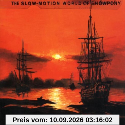 The Slow Motion World of Snowp