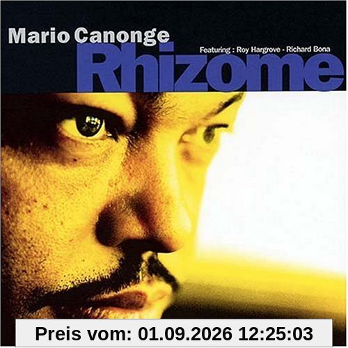 Rhizome
