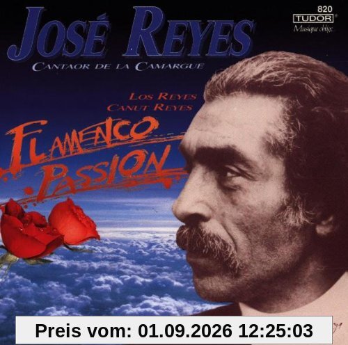 Flamenco Passion