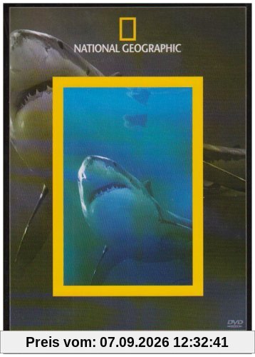 National Geographic : Sur les traces des requins