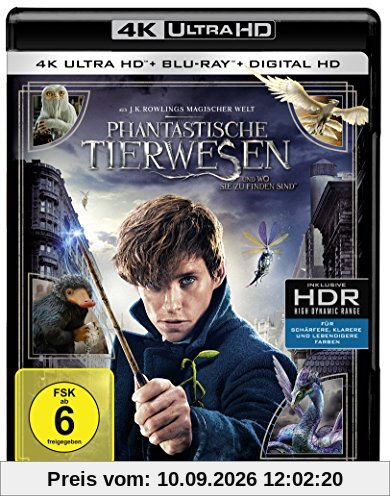 Phantastische Tierwesen und wo sie zu finden sind (4K UHD) [Blu-ray]