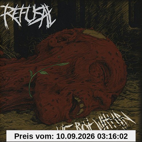 We Rot Within