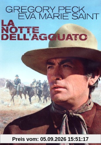 La notte dell'agguato [IT Import]