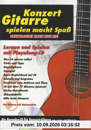 Konzert Gitarre Spielen Macht Spaß
