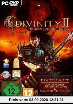 Divinity 2 - The Dragon Knight Saga