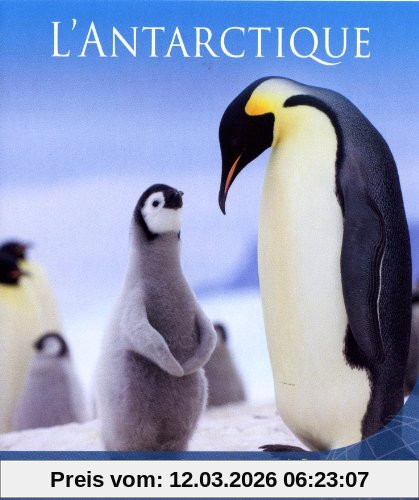 John Weiley L'antarctique [Blu-ray] [Fr Import]