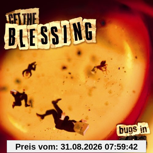 Bugs in Amber