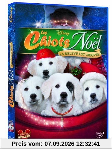 Les chiots de noël ; la relève est arrivée [FR Import]