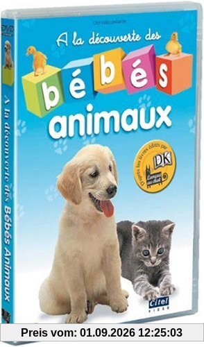 A la découverte des bébé animaux [FR Import]