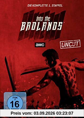 Into the Badlands - Die komplette 1. Staffel [2 DVDs]