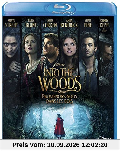 Into the woods : promenons-nous dans les bois [Blu-ray] [FR Import]