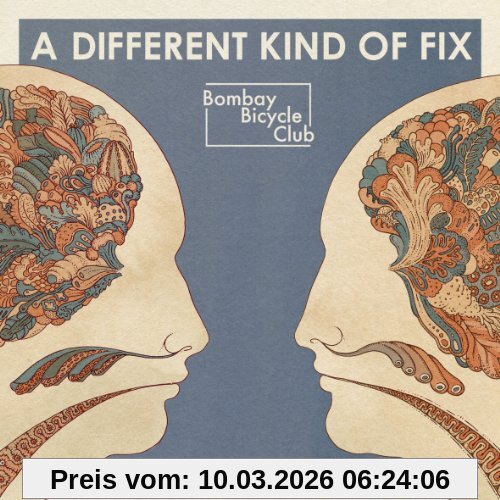 Bombay Bicycle Club Different Kind Of Fix