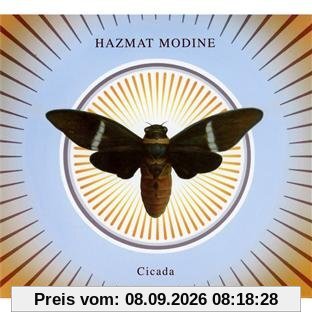 Cicada