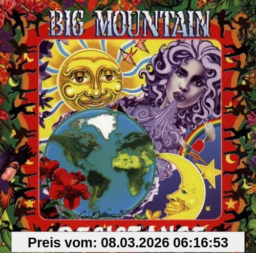 Big Mountain Resistance
