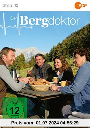 Der Bergdoktor - Staffel 12 [3 DVDs]