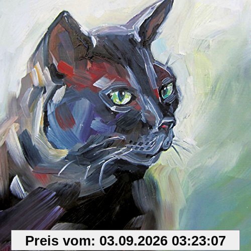 Komm Schwarzer Kater