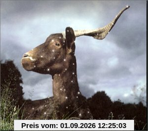 La Belle Inutile