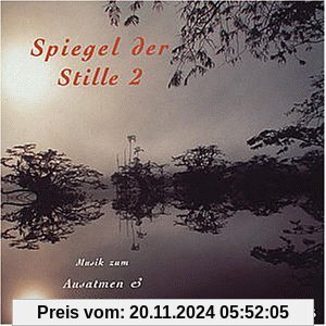 Spiegel der Stille 2