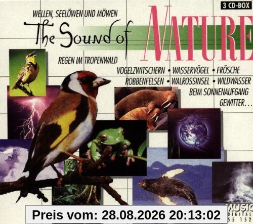 The Sound of Nature