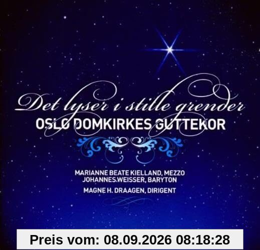 Lichter Funkeln in Friedlichen Dörfern