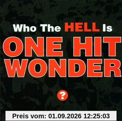 Who the Hell Is One Hit Wonder