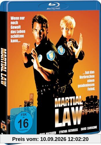Martial Law 1 - Action mit Cynthia Rothrock - Explosives Martial Arts Abenteuer [Blu-ray]