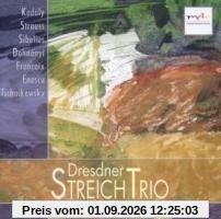 Dresdner Streich Trio