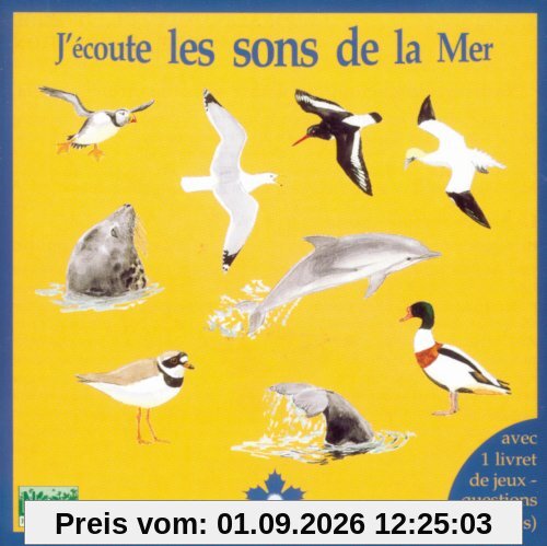 J'ecoute Les Sons De La Mer