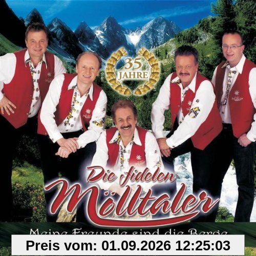 Meine Freunde Sind Die Berge