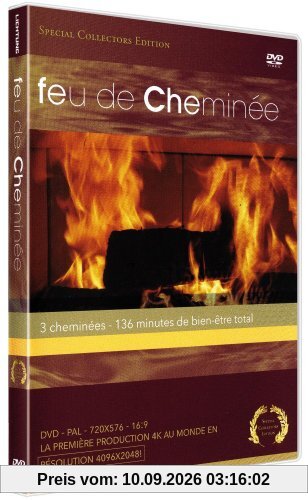 Feu de cheminée, une ambiance de détente [FR Import]