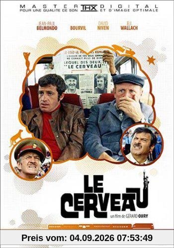 Le cerveau