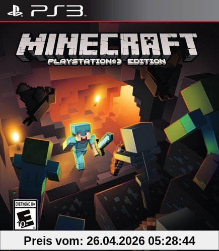 Minecraft (Sony PS3)