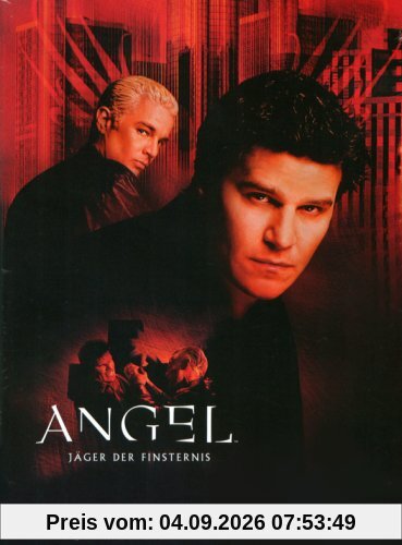 Angel - Season 5.1 (3 DVDs)