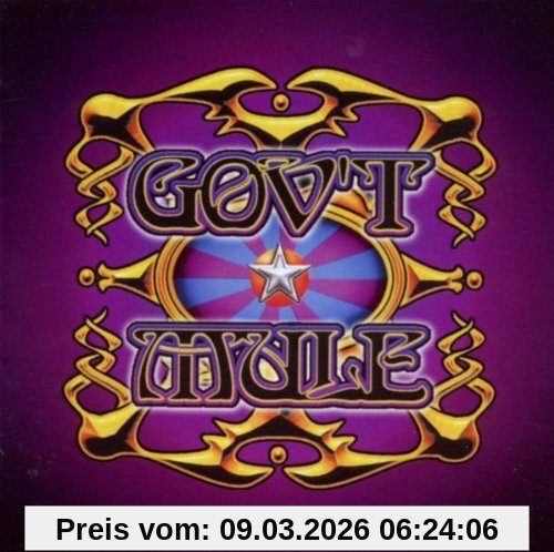 Gov'T Mule Live...With A Little Help From Our Friends