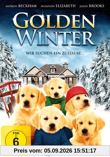 Golden Winter - Wir suchen ein Zuhause ...