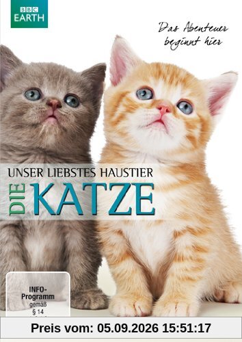 Unser liebstes Haustier - Die Katze