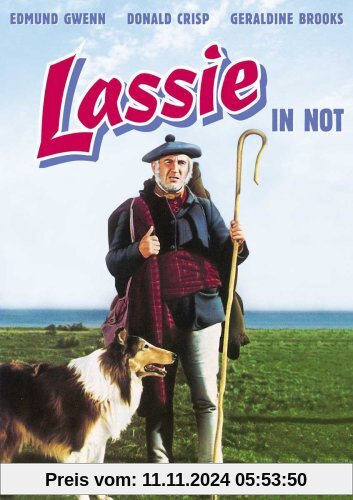 Lassie in Not