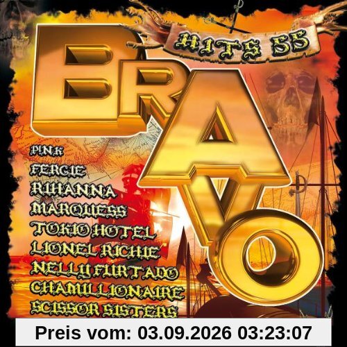 Bravo Hits Vol.55