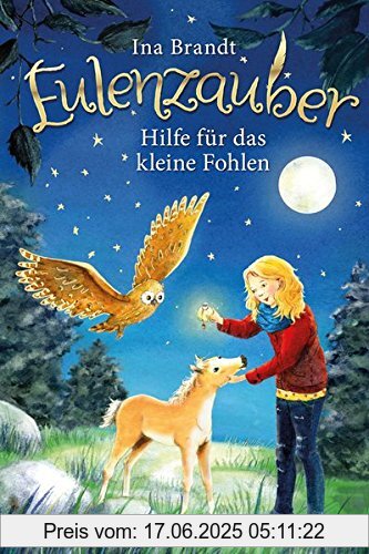 Binding : Gebundene Ausgabe, Label : Arena, Publisher : Arena, medium : Gebundene Ausgabe, numberOfPages : 136, publicationDate : 2017-01-02, authors : Ina Brandt, languages : german, ISBN : 3401602756