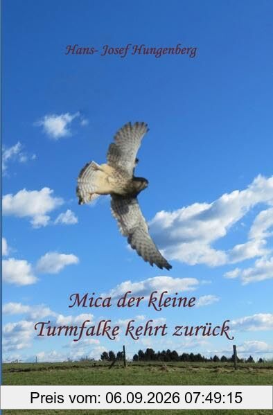 Mica der kleine Turmfalke kehrt zurück