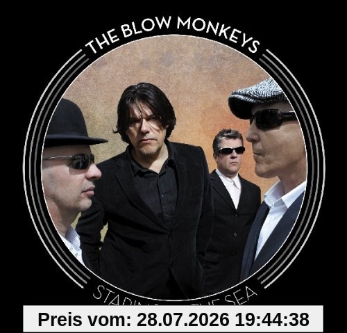 the Blow Monkeys Staring At The Sea