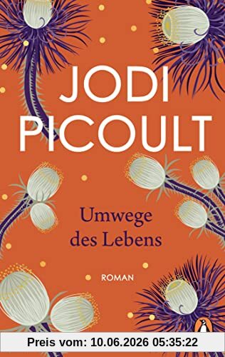 Umwege des Lebens: Roman. Der Nr.-1-Bestseller aus den USA – erstmals im Taschenbuch