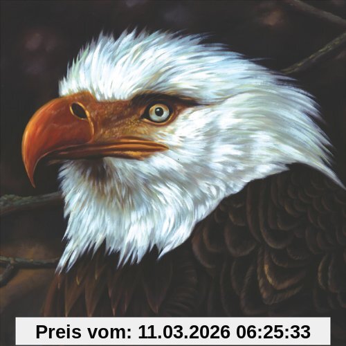 Mogwai The Hawk Is Howling