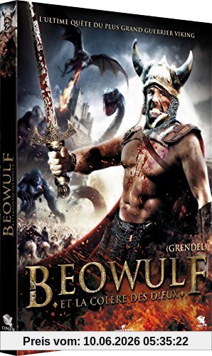 Beowulf et la colère des dieux [FR Import]