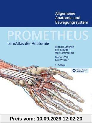 PROMETHEUS Allgemeine Anatomie und Bewegungssystem: LernAtlas der Anatomie